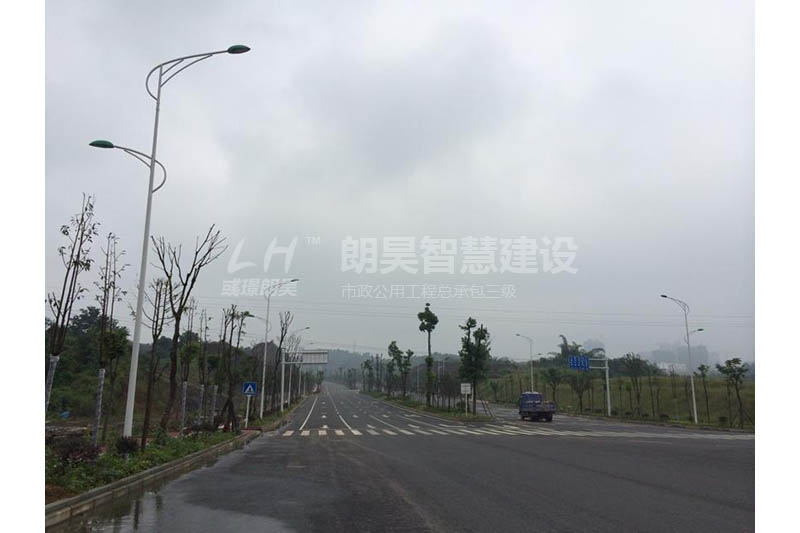 泸州市医学院校区外道路灯